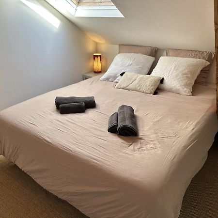 Duplex Loft - Central & Home Cinema Annecy Dış mekan fotoğraf