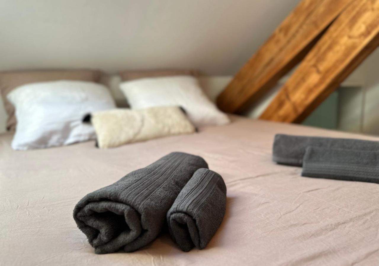Duplex Loft - Central & Home Cinema Annecy Dış mekan fotoğraf