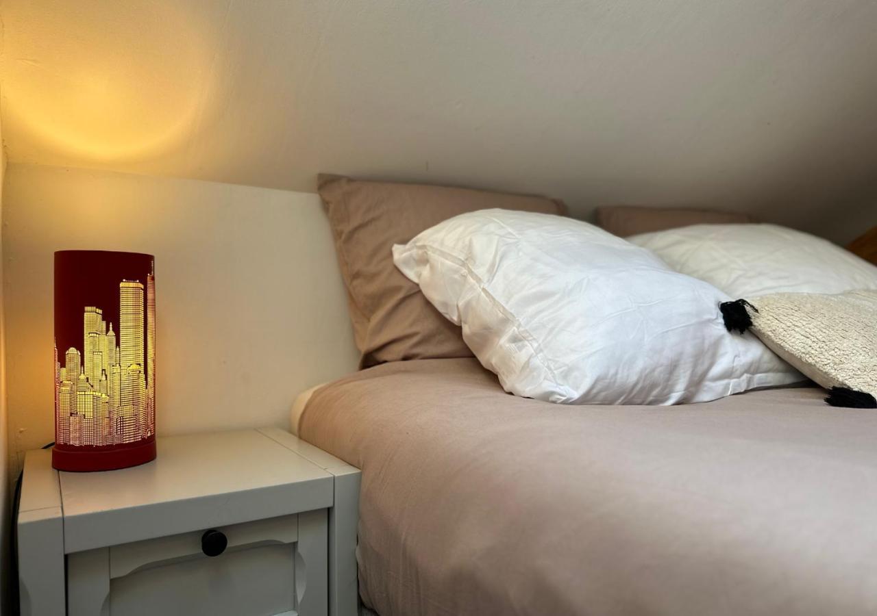 Duplex Loft - Central & Home Cinema Annecy Dış mekan fotoğraf