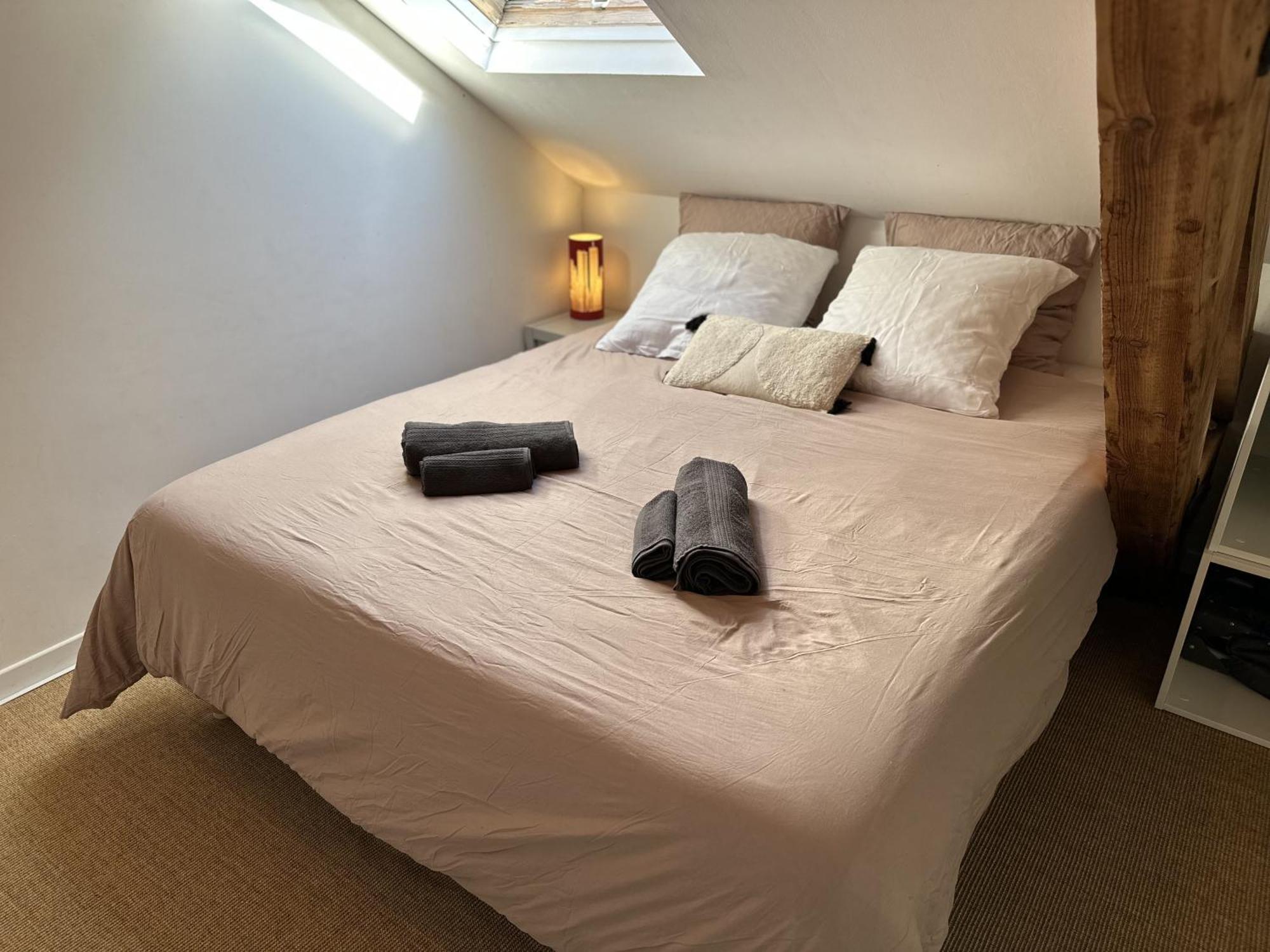 Duplex Loft - Central & Home Cinema Annecy Dış mekan fotoğraf